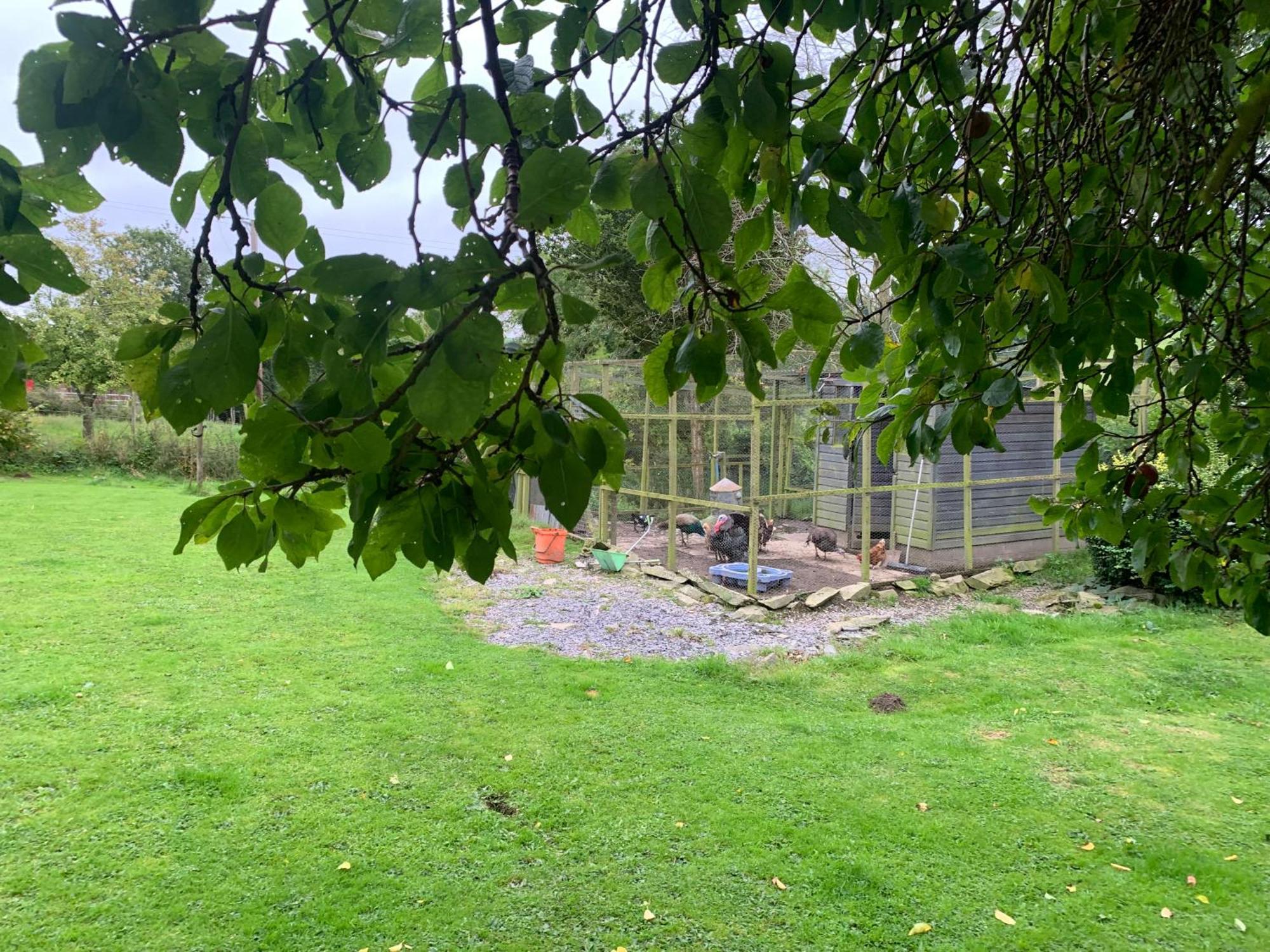 Stunning 2-Bed Cabin In Nantglyn Denbigh Kültér fotó